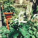 Апартаменты Casa Nel Borgo *