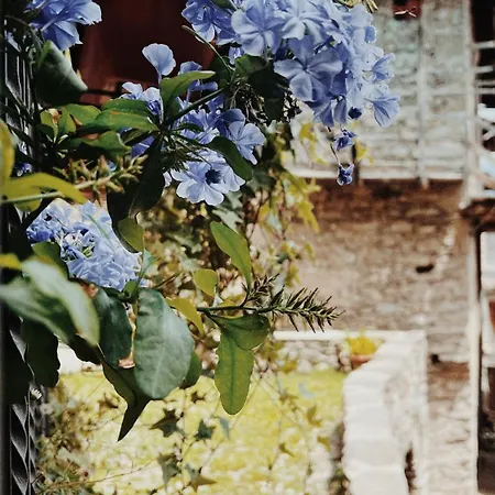 Casa Nel Borgo Апартаменты