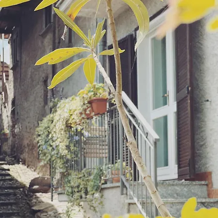 Casa Nel Borgo * Домазо